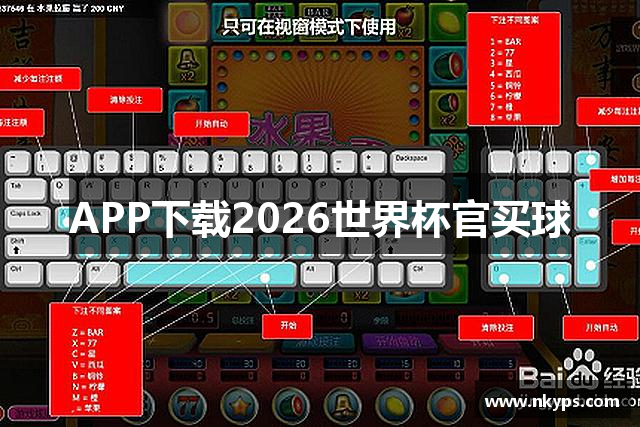 APP下载2026世界杯官买球